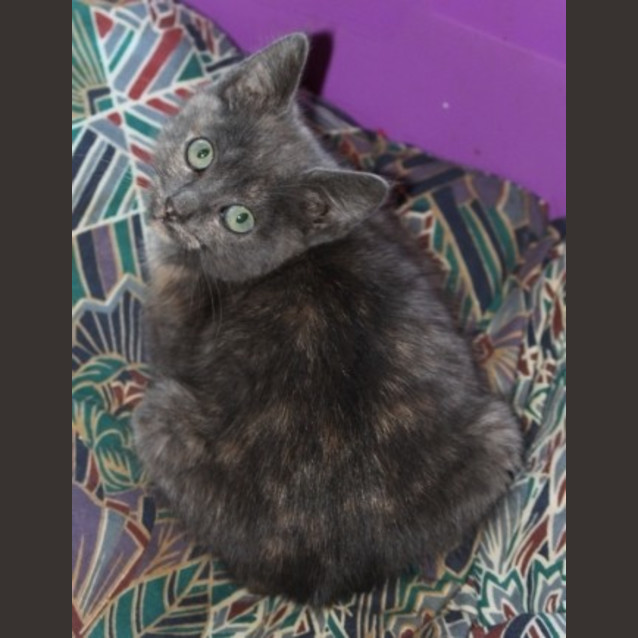 Photo of Glinda