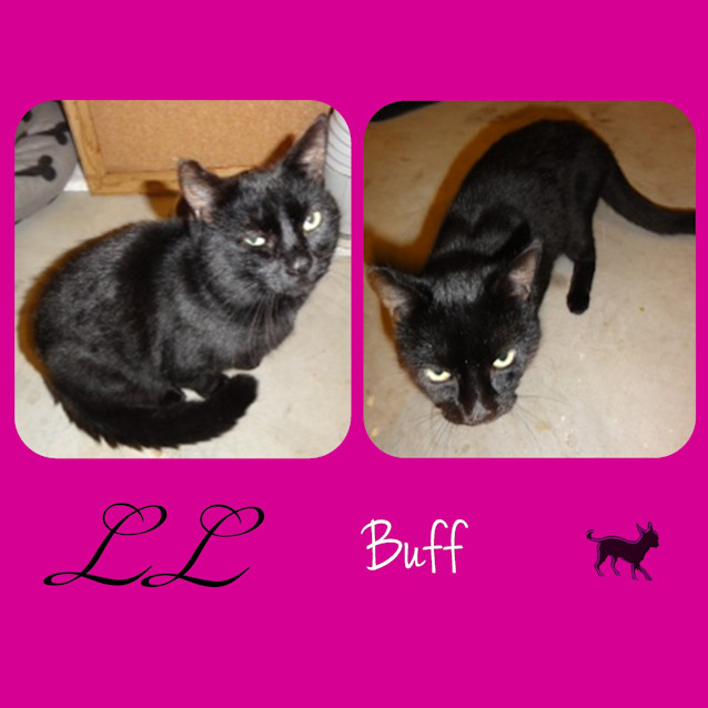 Photo of Buff 