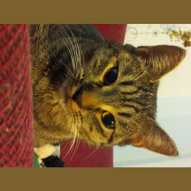 Photo of Samantha (Teenager)