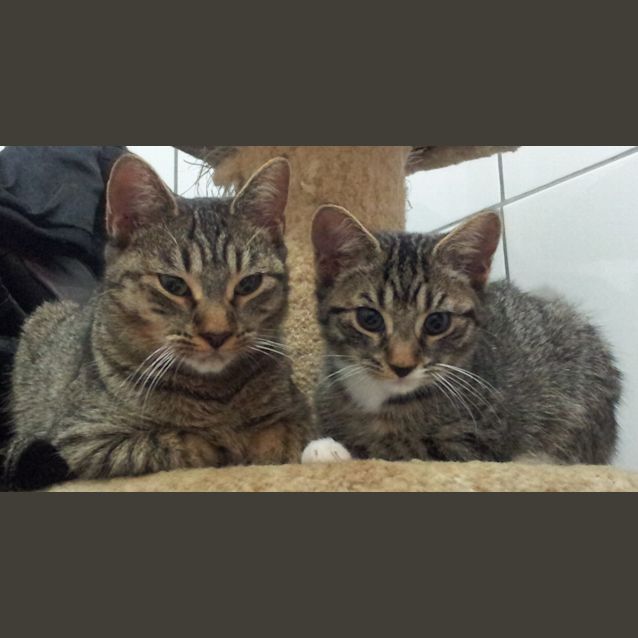 Photo of Samantha (Teenager)