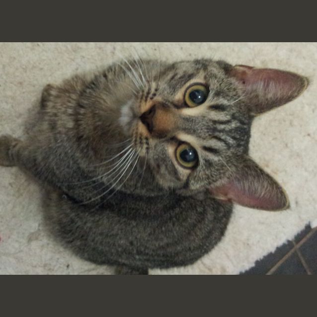 Photo of Samantha (Teenager)