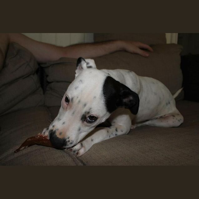 Photo of Jazz