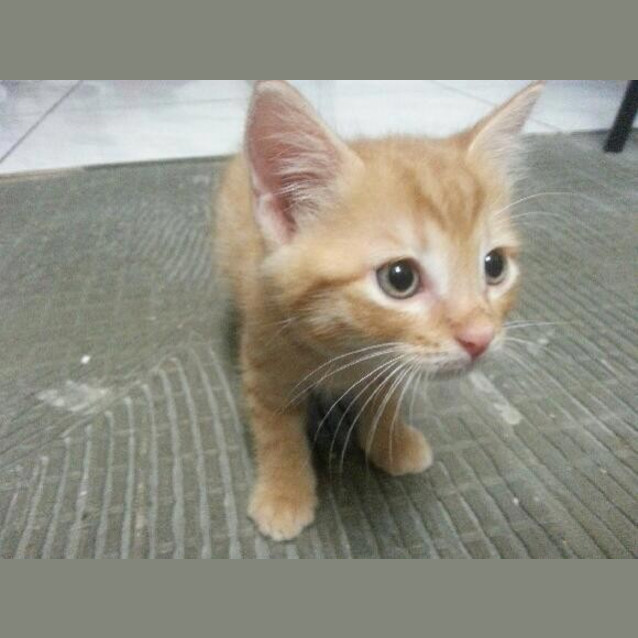 Photo of Hugo