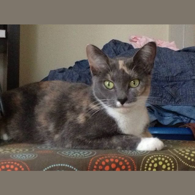 Photo of Coco