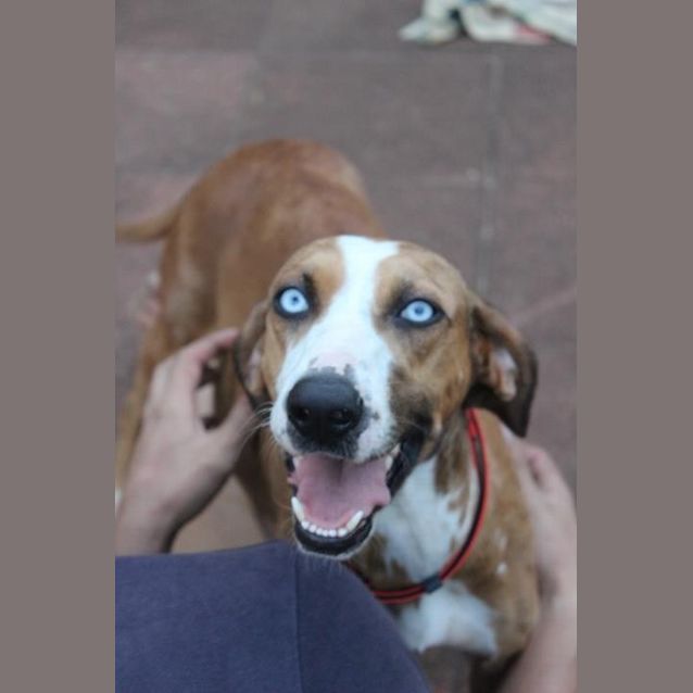 Photo of Holly