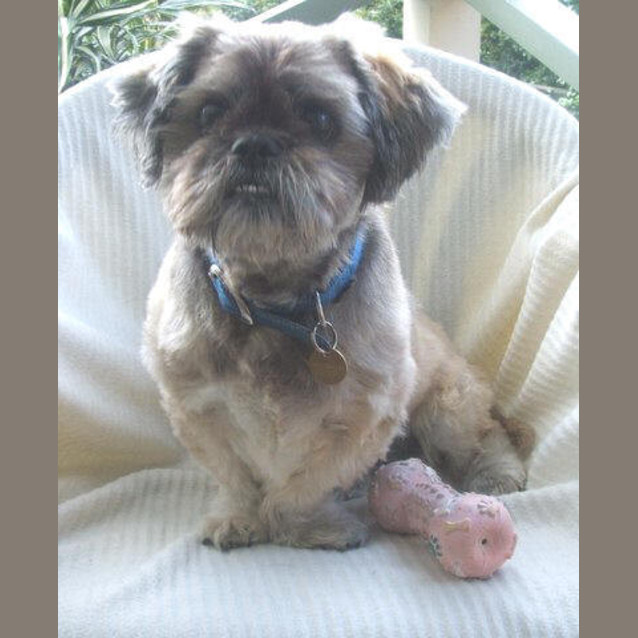 Photo of Harley