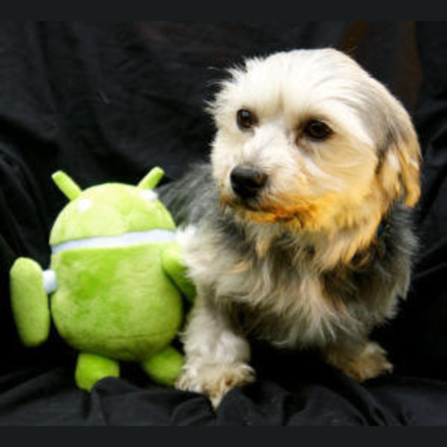 Photo of Wallace
