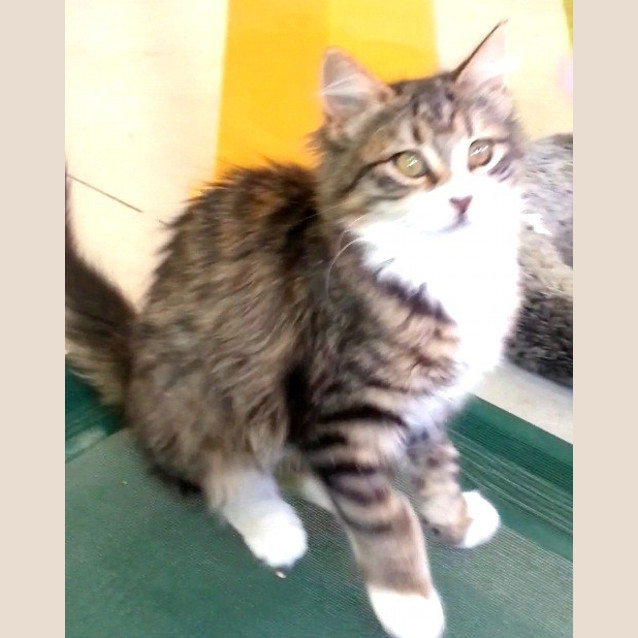 Photo of Dorothy