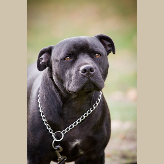 Photo of Gus