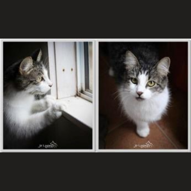 Photo of Cleo