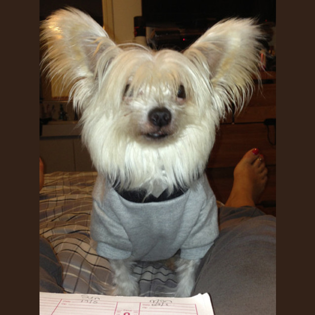 Photo of Ella