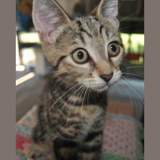 Photo of Maxie