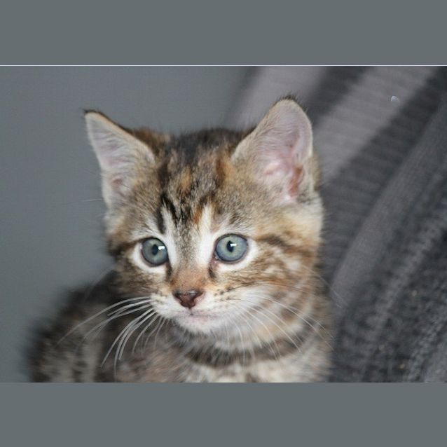 Photo of Anastasia C417