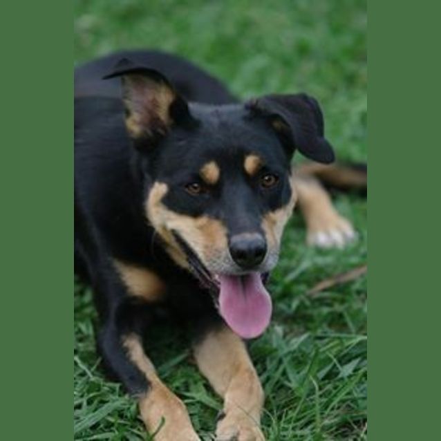 Photo of Billy