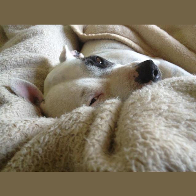 Photo of Chi