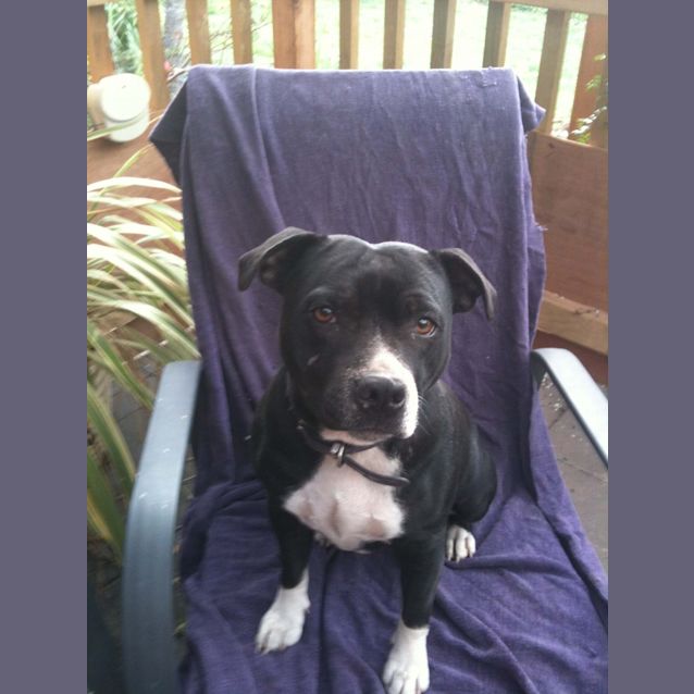 Photo of Molly