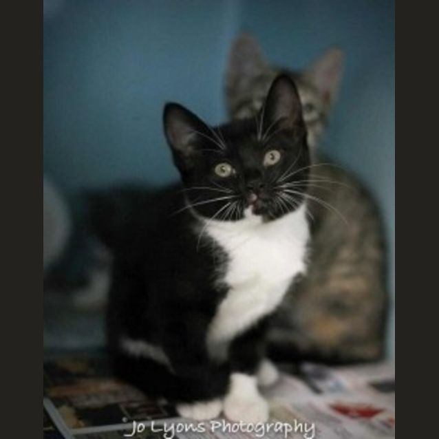 Photo of Molly
