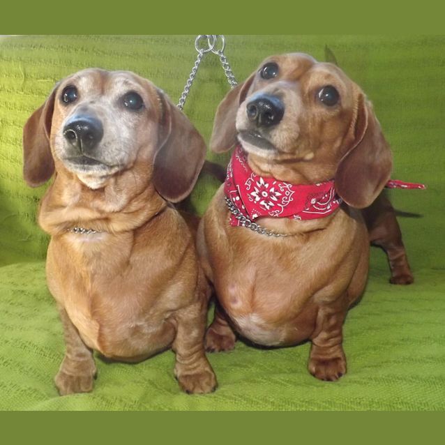 Photo of Katie And Sally