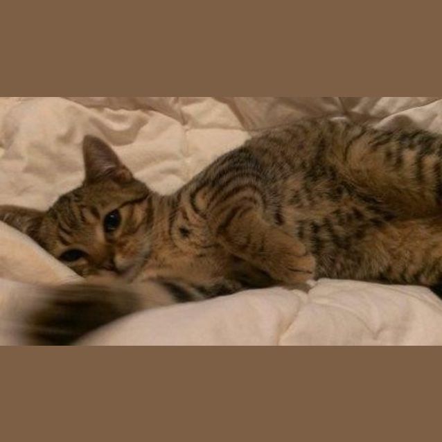 Photo of Wally