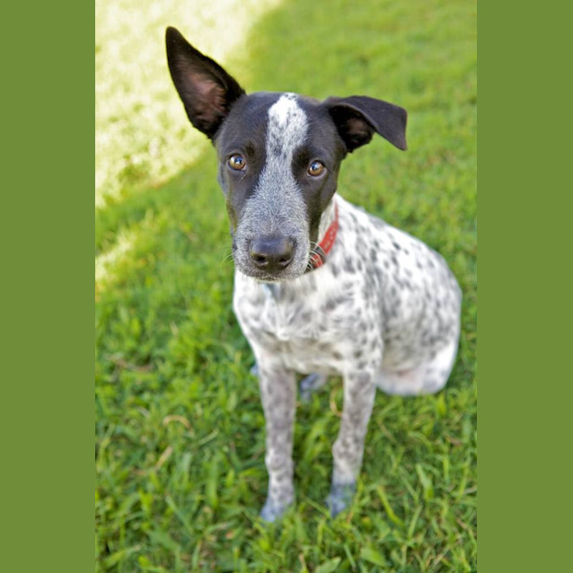 Photo of Deejay