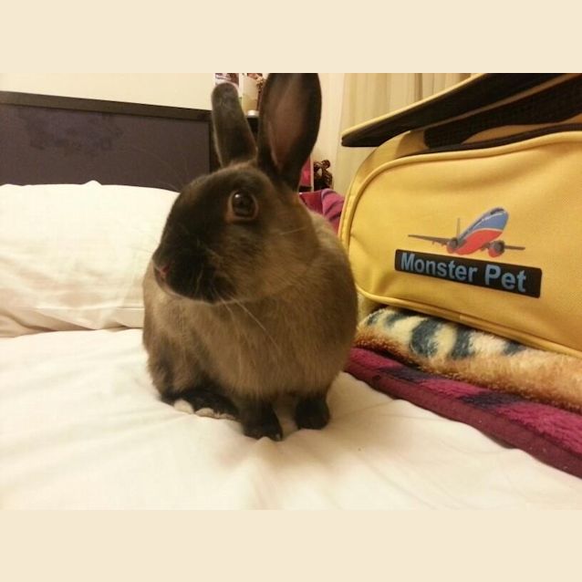 Photo of Sugar N Spice