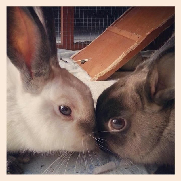 Photo of Sugar N Spice