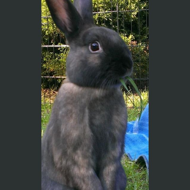 Photo of Kylie & Mr.Flopsy