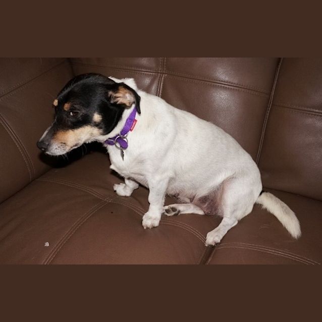 Photo of Cindy