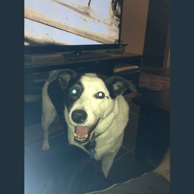 Photo of Banjo