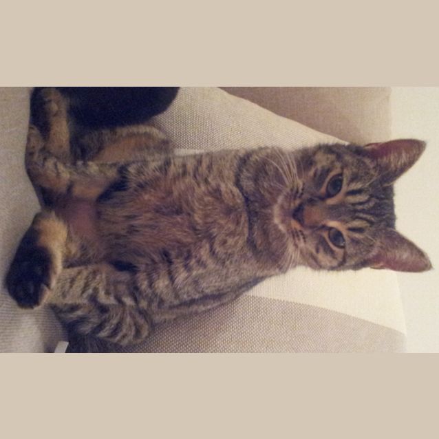 Photo of Samantha (Teenager)