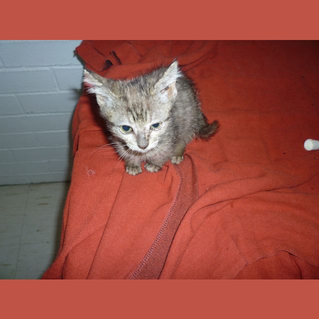 Photo of Malcom