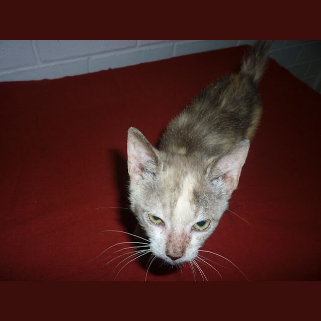 Photo of Molly