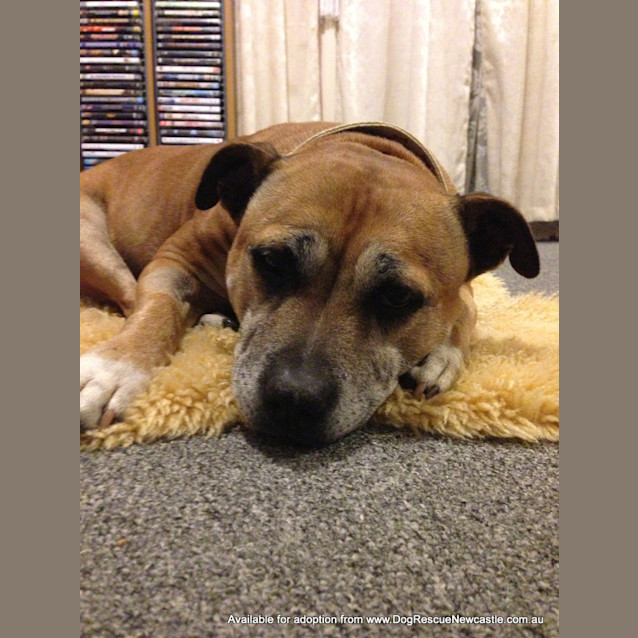 Photo of Doris (On Trial 15/6/13)