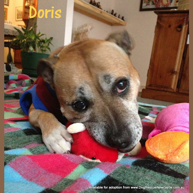 Photo of Doris (On Trial 15/6/13)