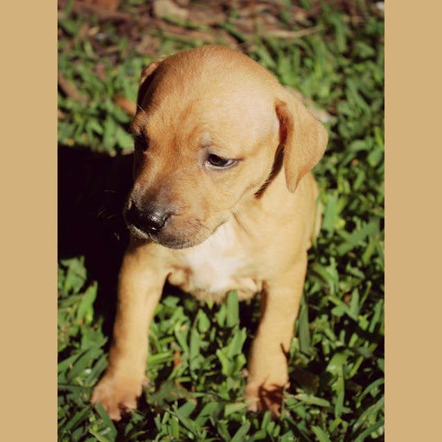 Photo of Duchess
