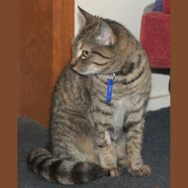 Photo of Josie