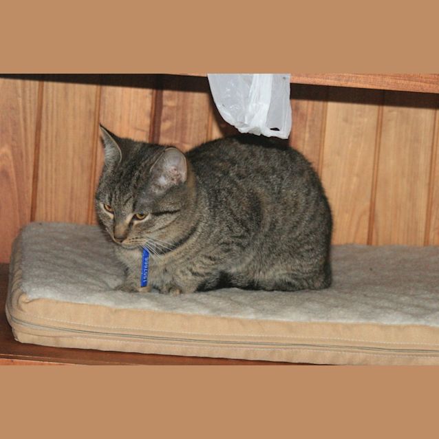 Photo of Maddie