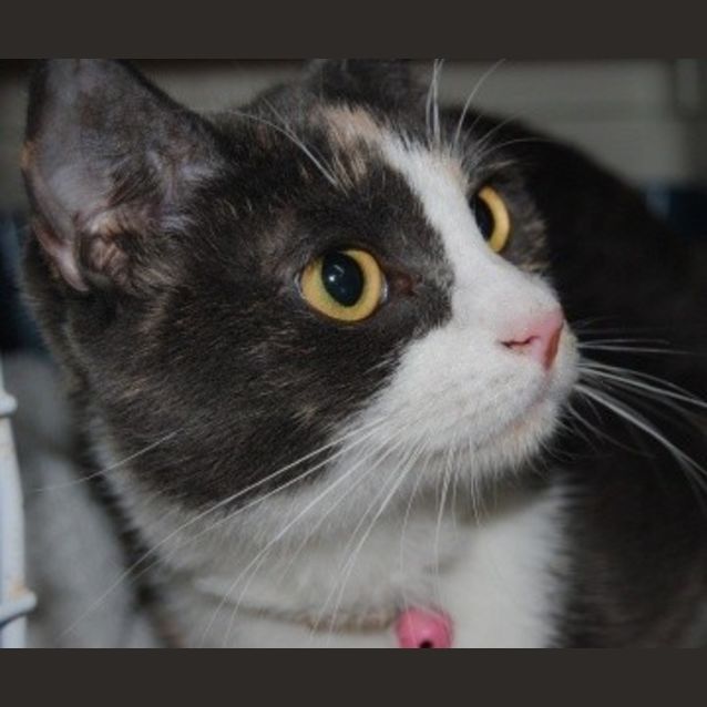 Photo of Lexi