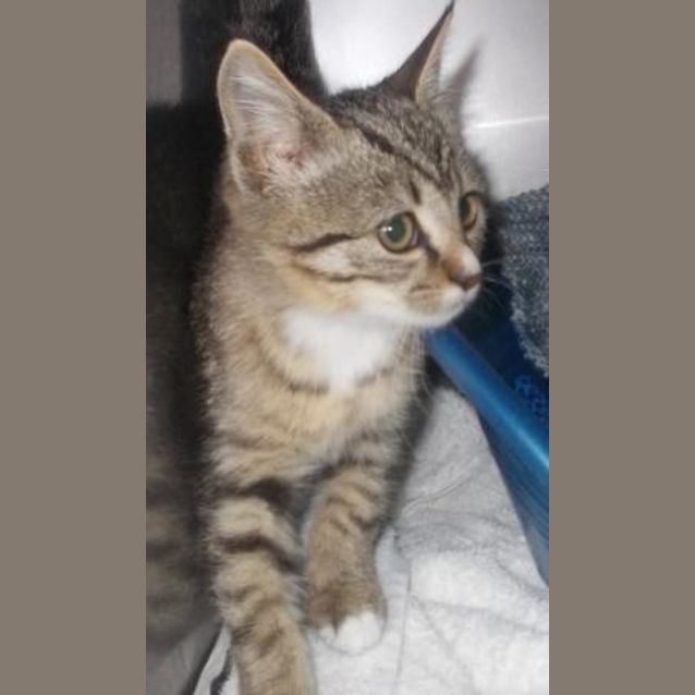 Photo of Seraphina