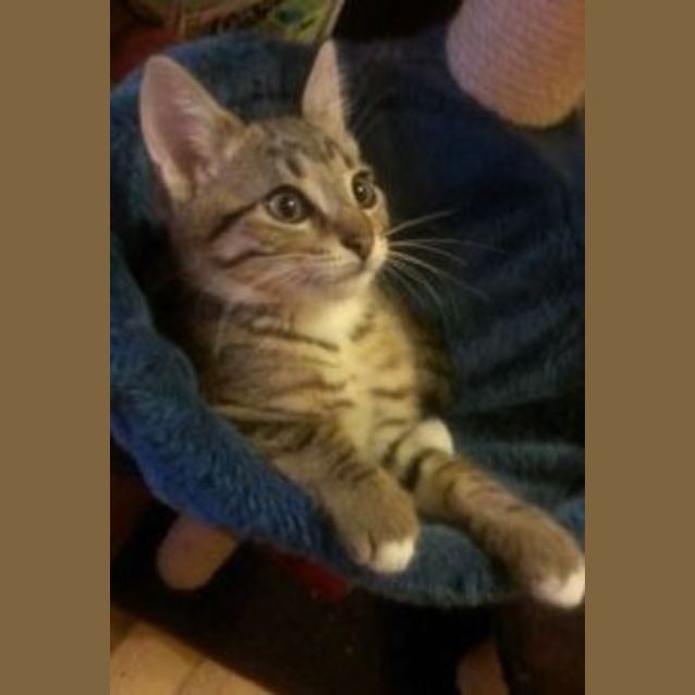 Photo of Holden