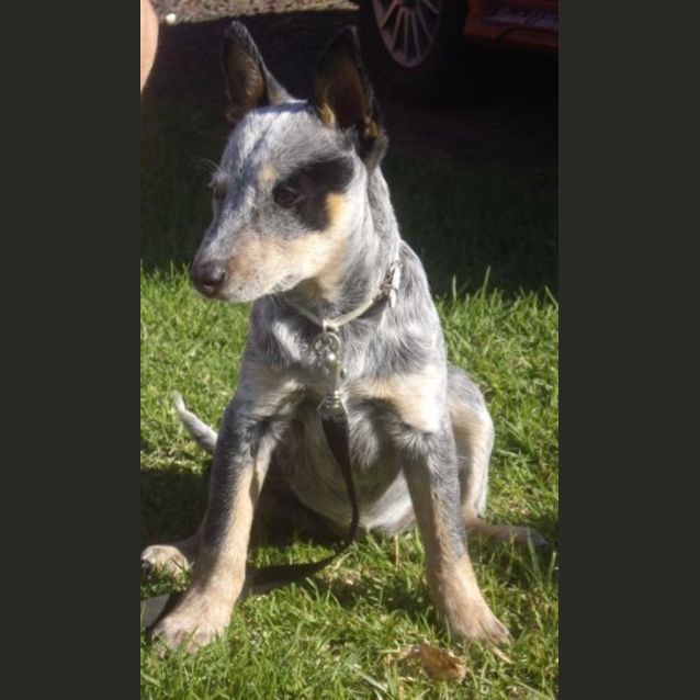 Photo of Amy ... A Beautiful Natured Girl!
