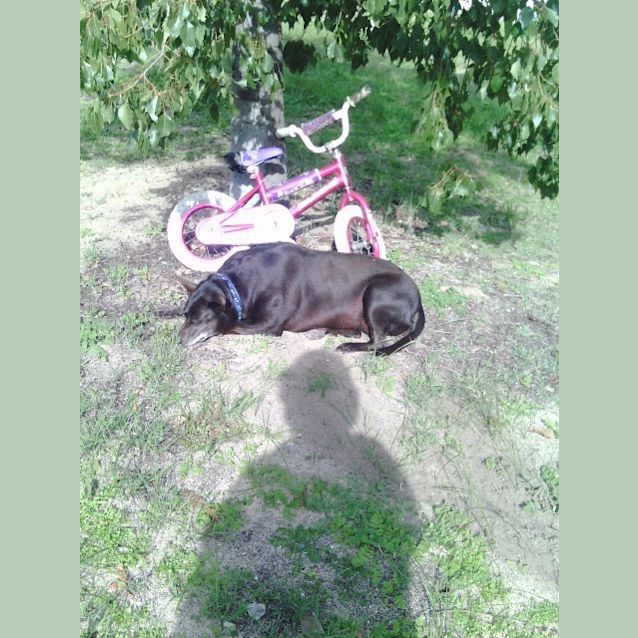 Photo of Country Gypsy