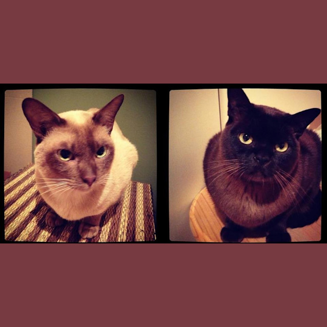 Photo of Nestle & Latte