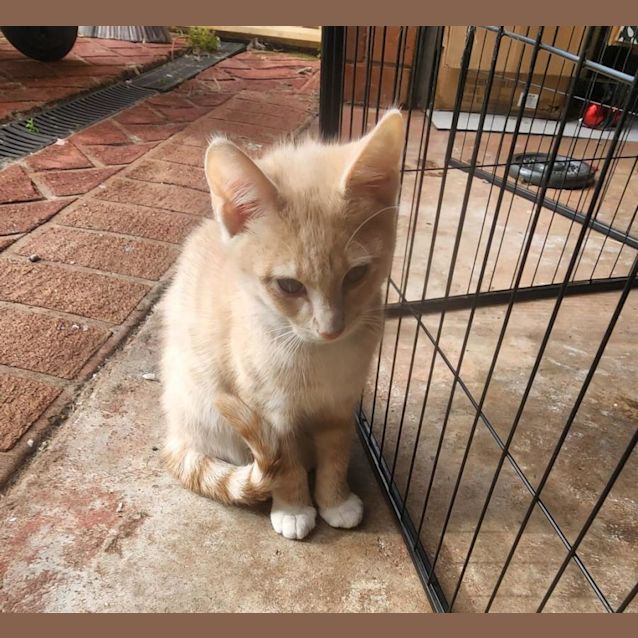 Photo of Jax