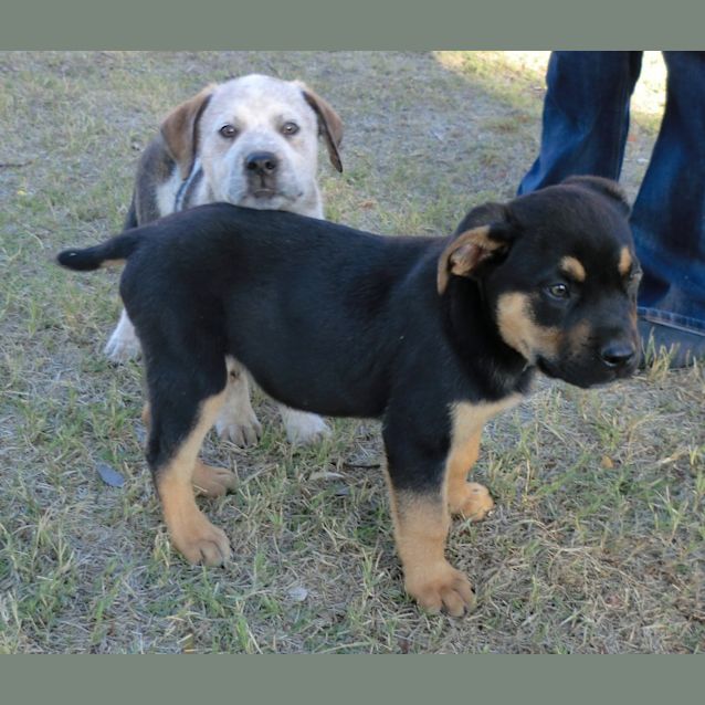 Photo of Tyson *On Trial In His New Home*