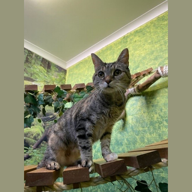 Photo of Alice