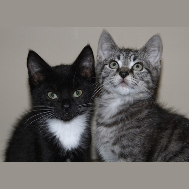 Photo of Archer & Lana 
