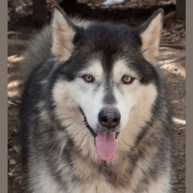 Photo of Zeus2