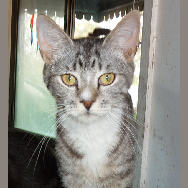 Photo of Naoki