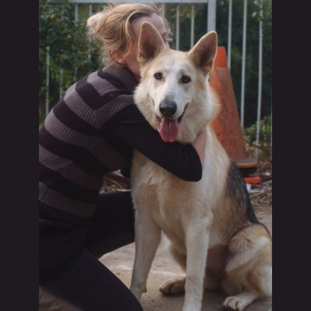 Photo of Lexy On Trial In Her New Home